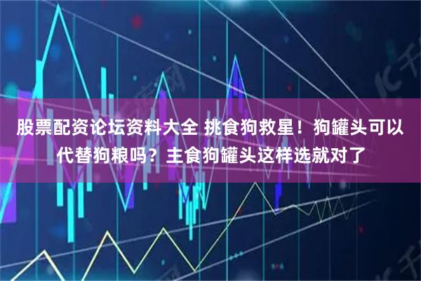 股票配资论坛资料大全 挑食狗救星！狗罐头可以代替狗粮吗？主食狗罐头这样选就对了